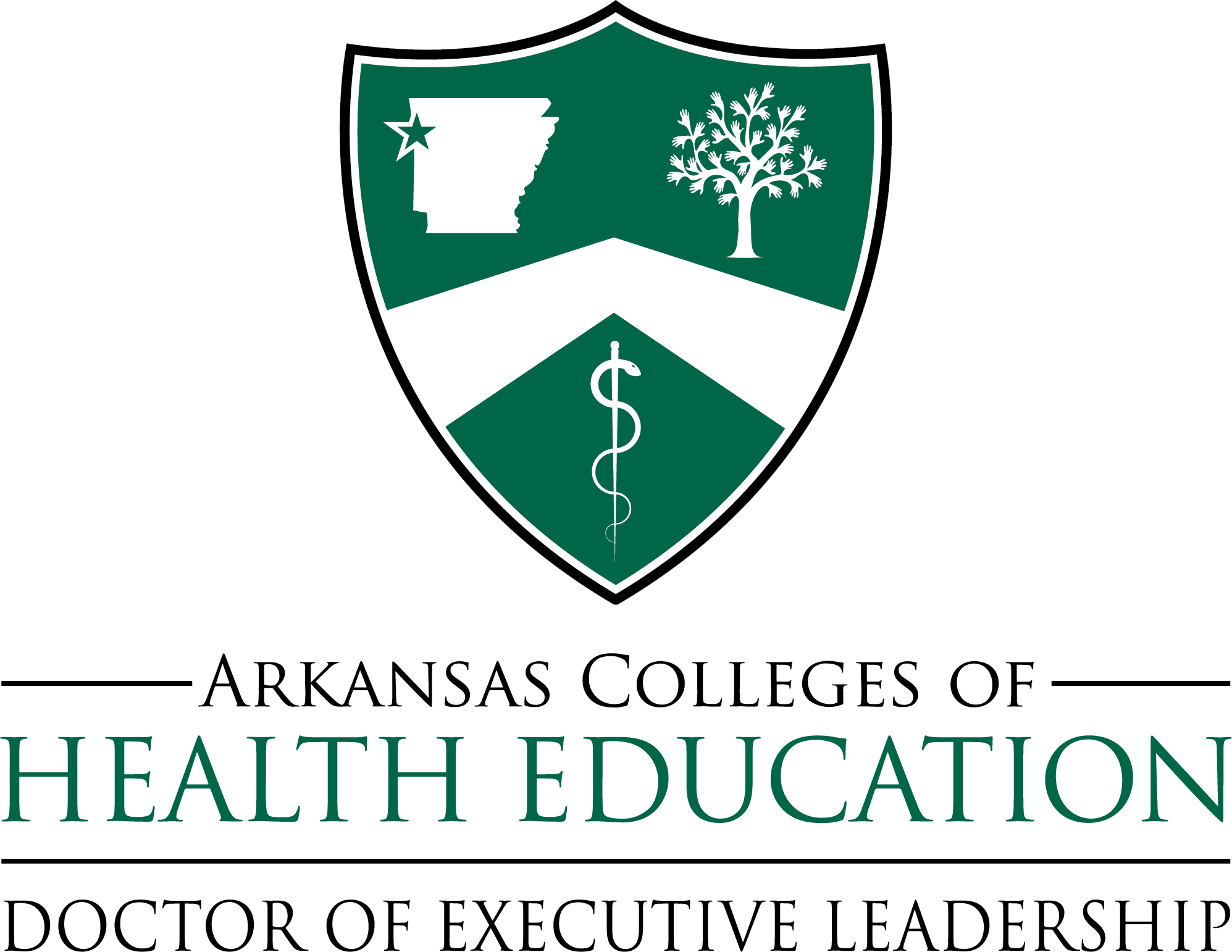 ACHE - Doctor of Executive Leadership